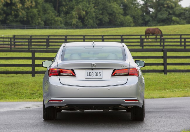 Bridge Model | 2015 Acura TLX